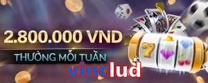 vinclud