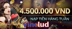 vinclud