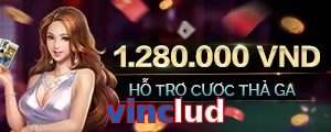 vinclud