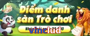 vinclud