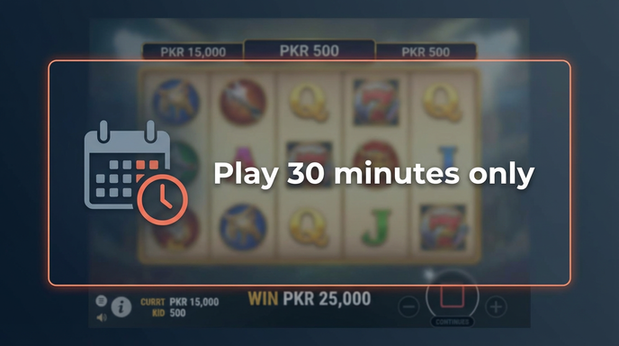 Payment and PKR controls in 666w - 6