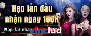 vinclud