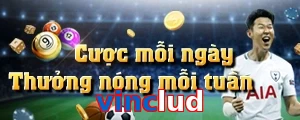vinclud